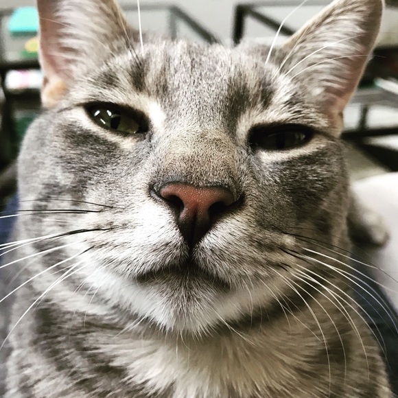 Meet your Posher, Sarah - Picture 2 of 2